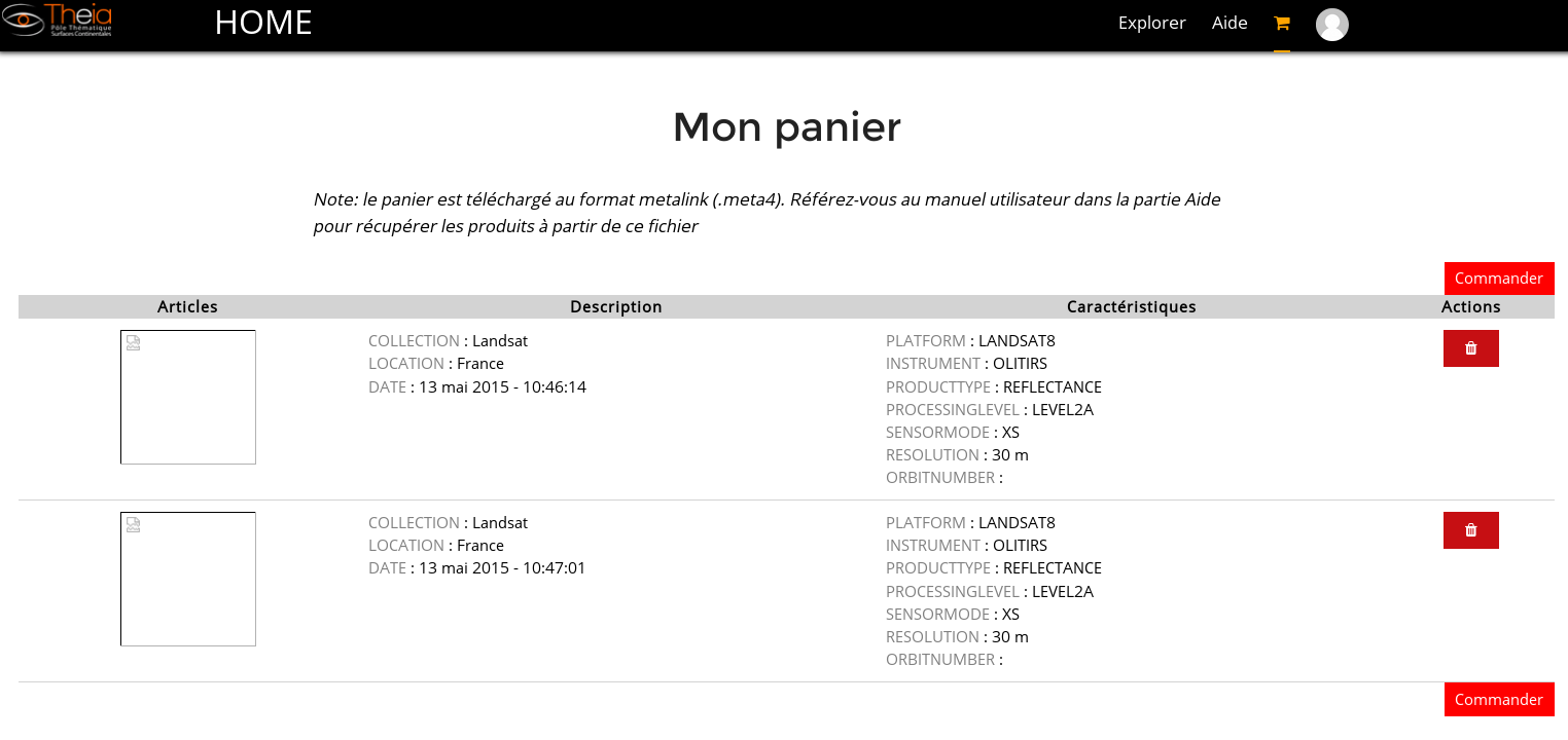 Theia_panier