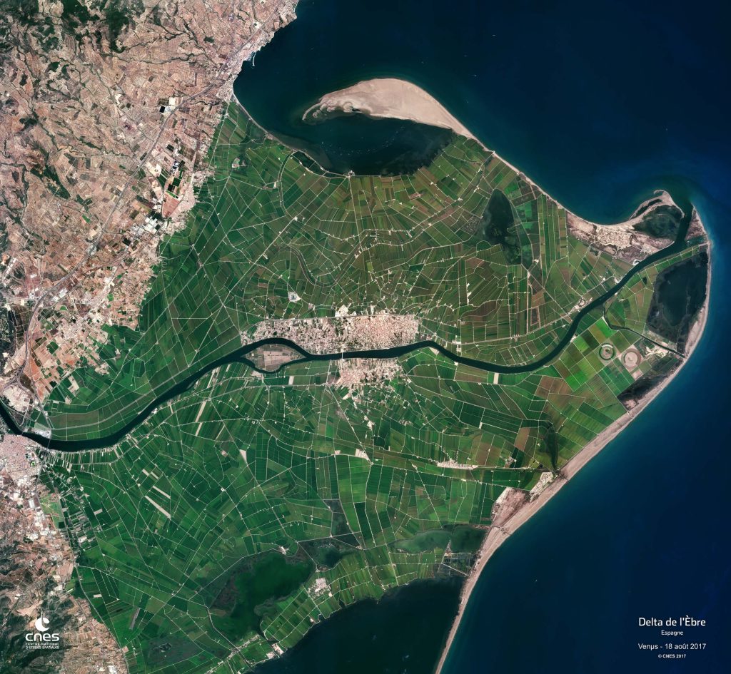 The Delta of Ebro