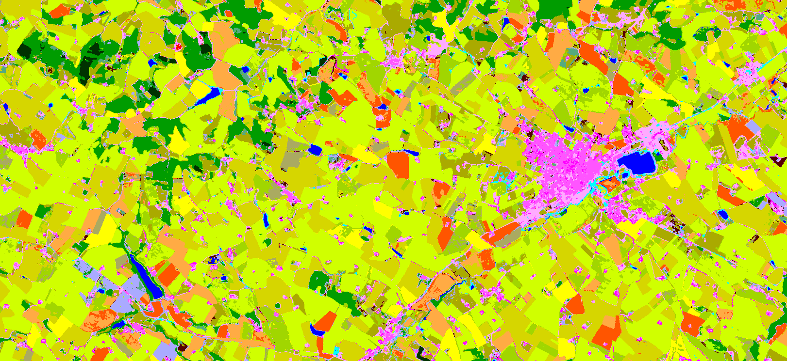 animated_2.gif