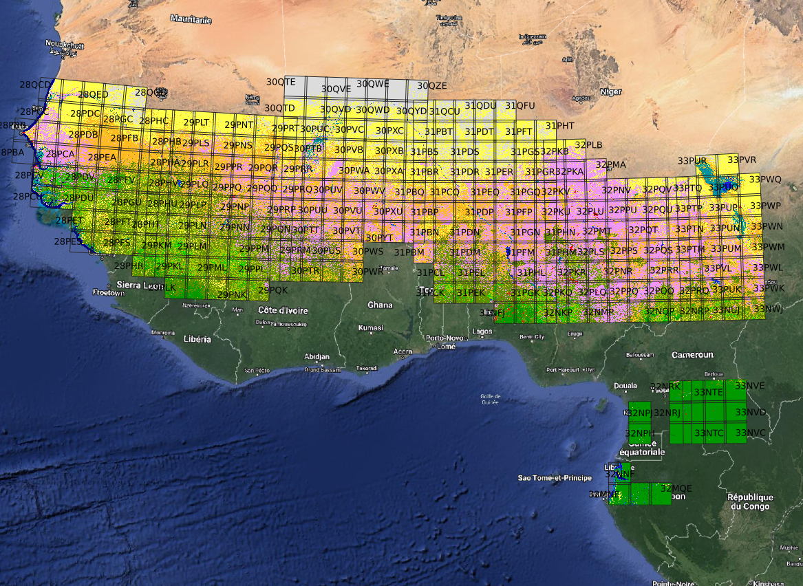 The map iota2 map of Sahel with Sentinel-2